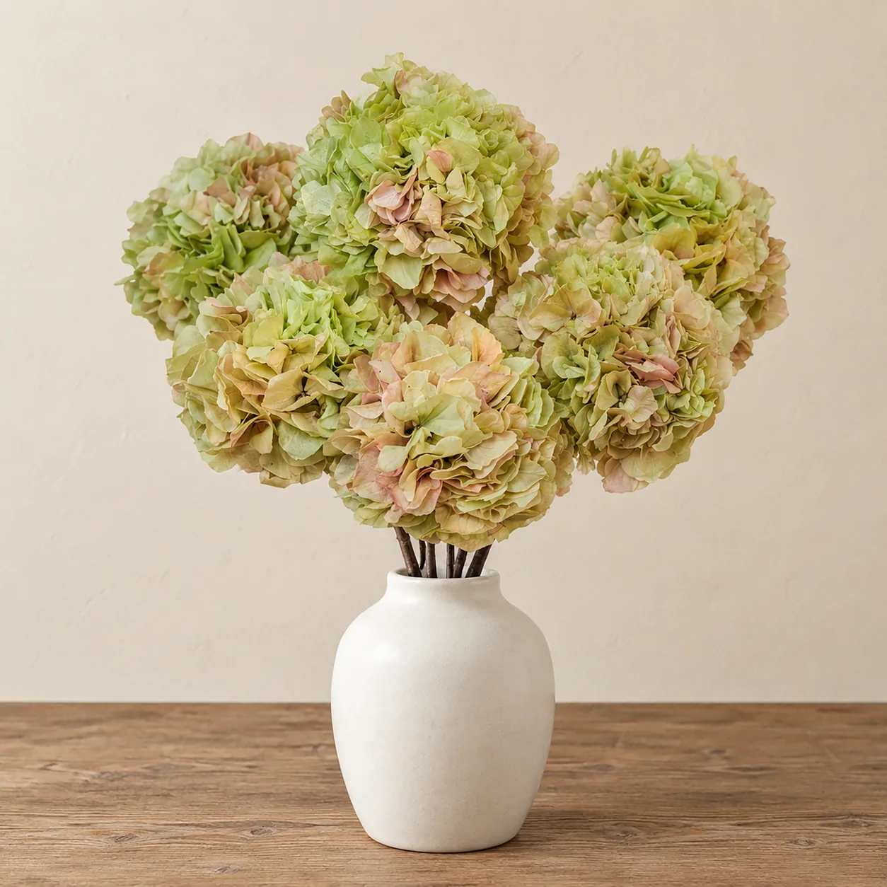 Antique Green Hydrangea Stems