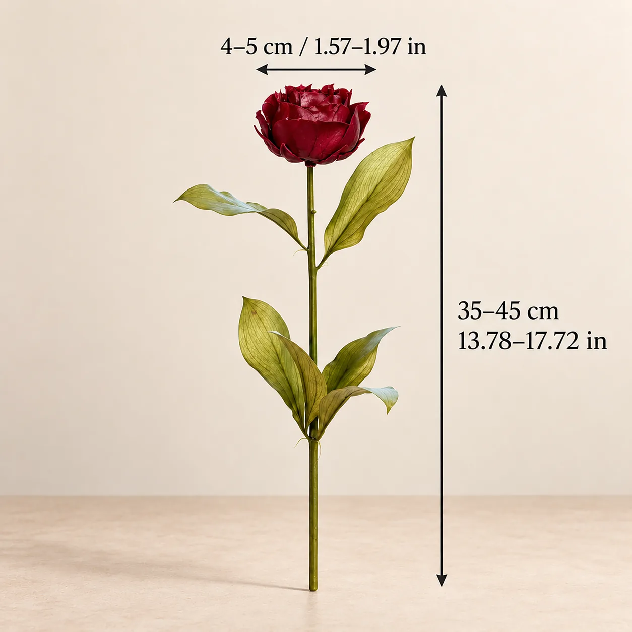 Burgundy Garden Rose Stems size chart