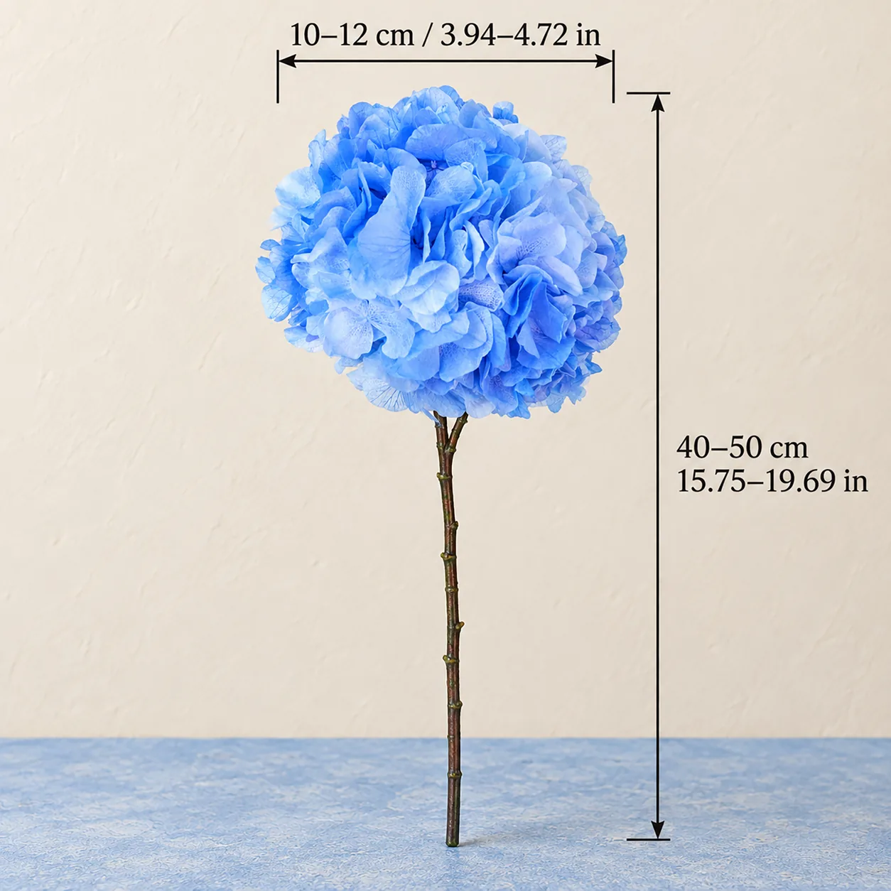 Cornflower Blue Hydrangea Stems size chart