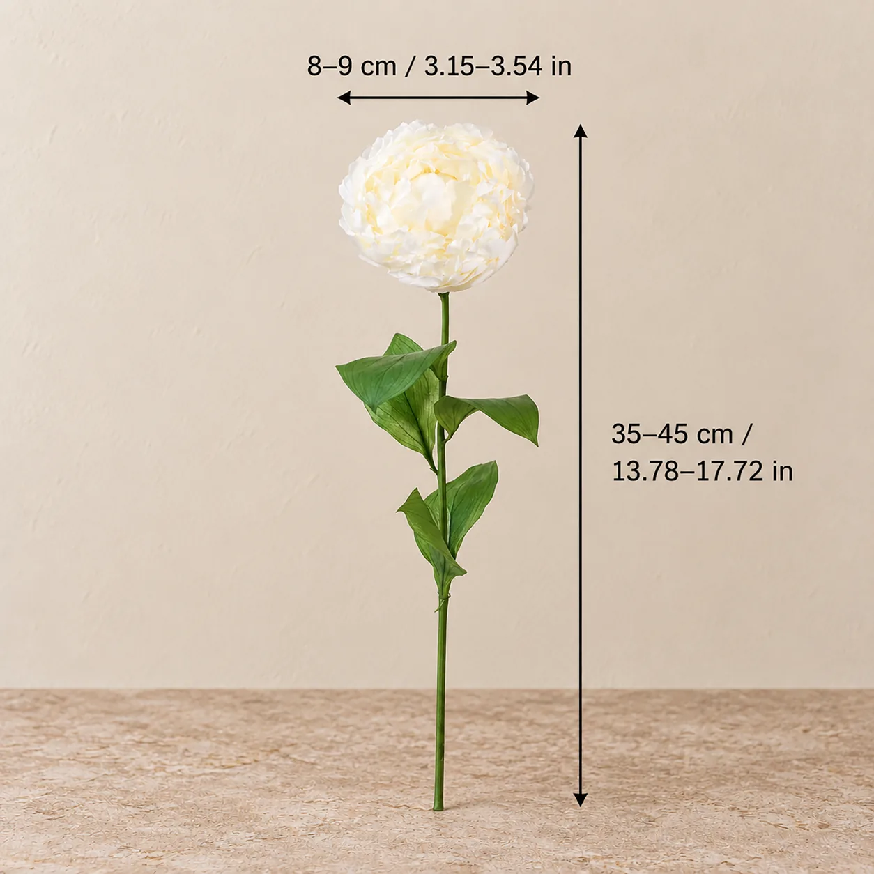 Cream Peony Stems size chart