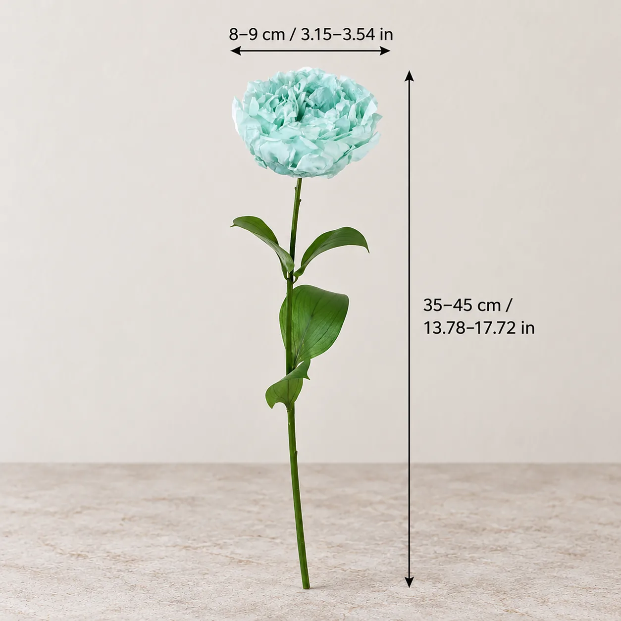 Mint Peony Stems size chart