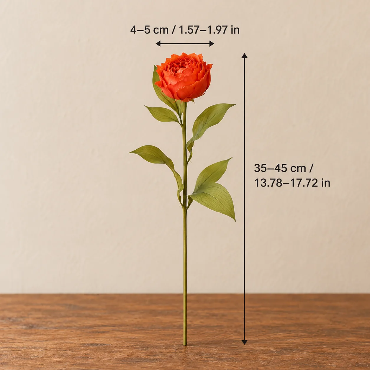 Orange Garden Rose Stems size chart