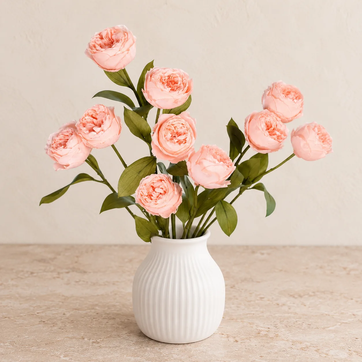 Peach Garden Rose Stems
