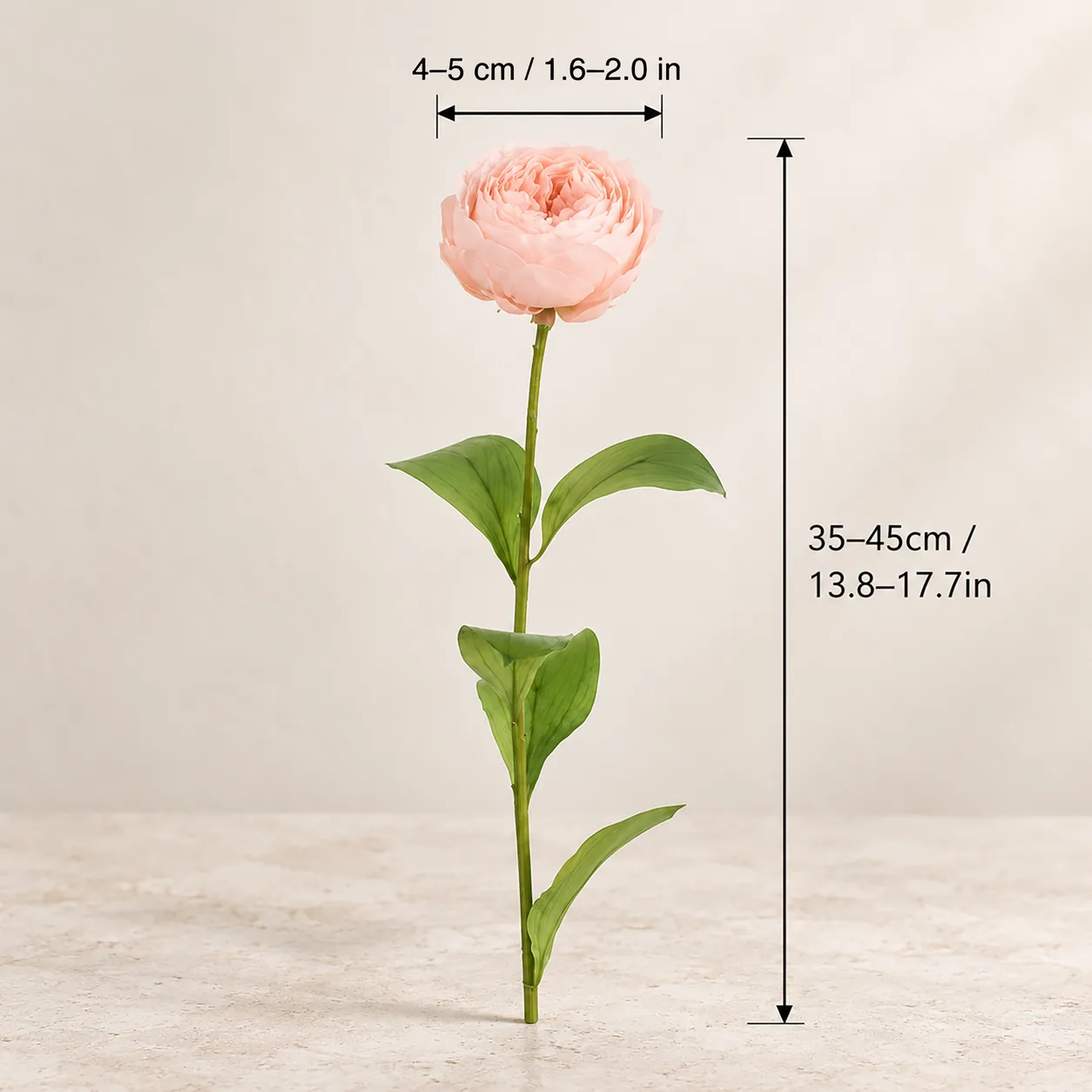 Peach Garden Rose Stems size chart