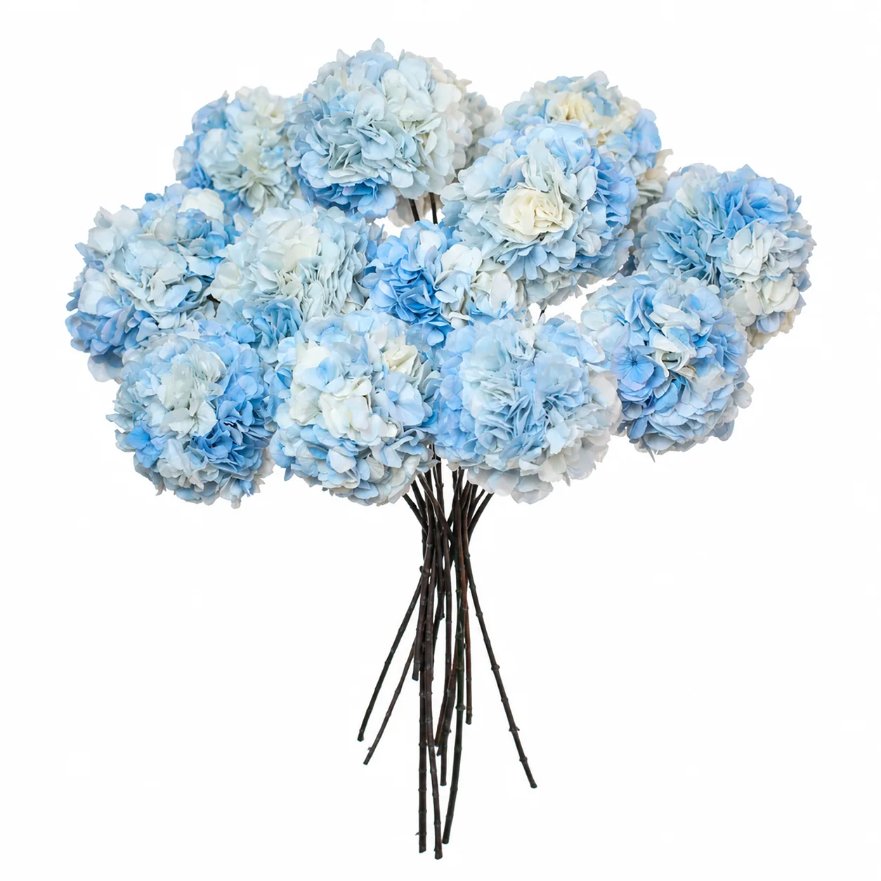 Sky Blue Hydrangea Stems — photo 4