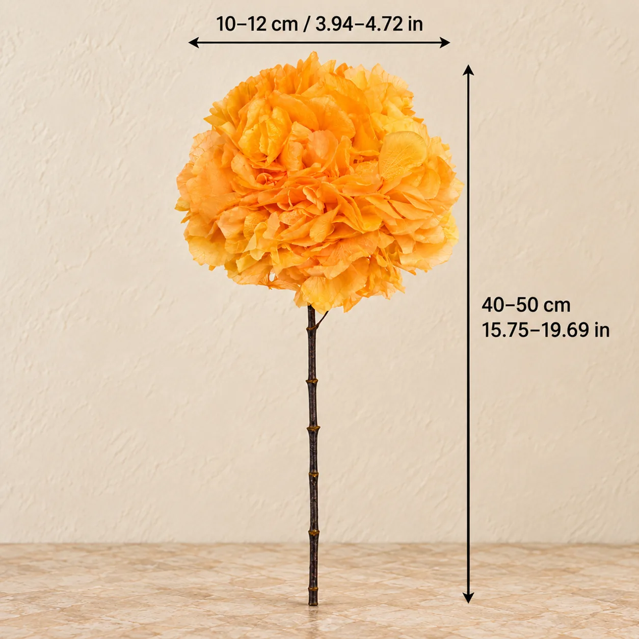 Sunset Orange Hydrangea Stems size chart