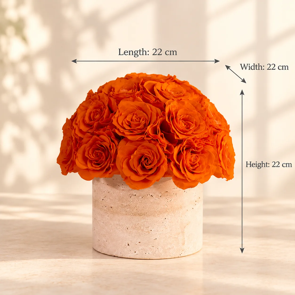 Tangerine Rose Dome size chart: 22 cm long, 22 cm wide, 22 cm tall